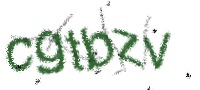校验码